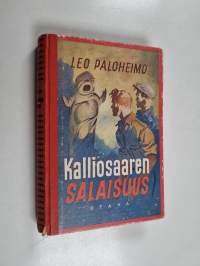 Kalliosaaren salaisuus : seikkailuromaani