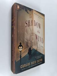 The shadow of the wind