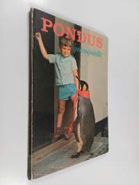 Pondus syntymäpäivillä