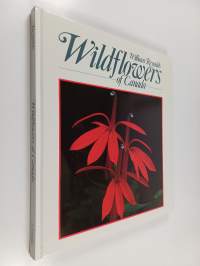 Wildflowers of Canada