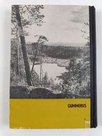 Keski-Suomen kotiseutulukemisto