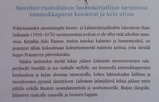 Hans Lidman - Valitut tarinat.  (Kalastus, tarinakokoelmat, Pohjoiset alueet )