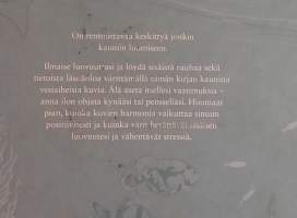 Väritä itsellesi mielenrauhaa : 100 levollista värityskuvaa kaikenikäisille.  ( Värityskirjat )