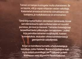 Taimen - elintavat, kalastus ja suojelu.  ( Kalat, kalastusvälineet, kalakannat )