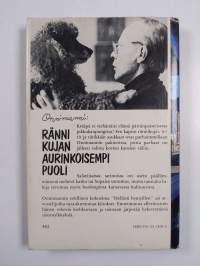 Rännikujan aurinkoisempi puoli