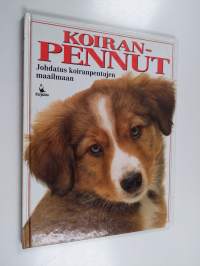 Koiranpennut