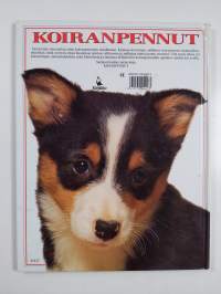 Koiranpennut