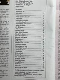 Korsteeni 2012 vuosijulkaisu