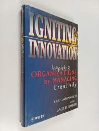Igniting innovation : inspiring organizations by managing creativity