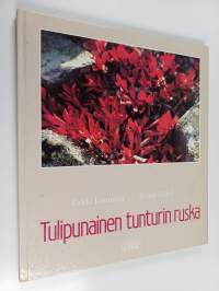 Tulipunainen tunturin ruska