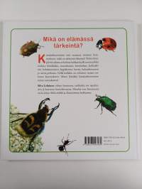Kimalaiskuoriainen löytää vastauksen