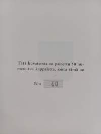 Hauensuolen kivipiirrokset (numeroitu)