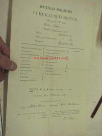 Sortavalan Reaalilyseo, lukukausi-todistus Vilho Tikka 1905