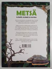 Metsä - elämää, eläimiä, kasveja
