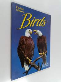 Florida&#039;s Fabulous Birds : Land Birds : Their Stories