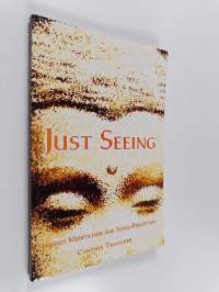 Just Seeing - Insight Meditation and Sense-perception