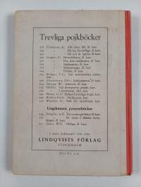 En scout i Alaskas björnskogar