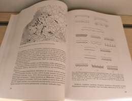 Kuisti : kansatieteellinen tutkimus = The porch : an ethnological study