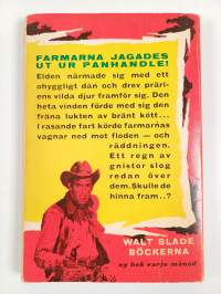 Sista skottet : En Texas ranger slår till