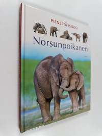 Norsunpoikanen