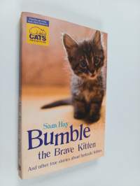 Bumble the Brave Kitten