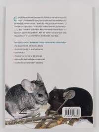 Marsunsukuinen chinchilla lemmikkinä