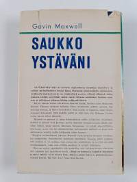 Saukkoystäväni