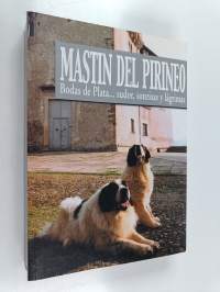 Mastín del Pirineo - bodas de plata...sudor, sonrisas y lágrimas