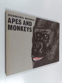 Apes and monkeys