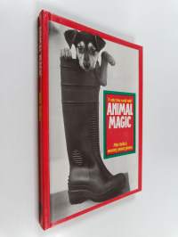 Animal Magic - Mike Hollist&#039;s Amazing Animal Photos