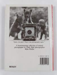 Animal Magic - Mike Hollist&#039;s Amazing Animal Photos