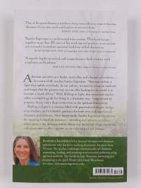 Walking in Light : The Everyday Empowerment of a Shamanic Life
