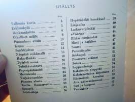 Miten leikin kotona : askartelutehtäviä ja leikkejä 7-12 vuotiaille lapsille nro 5
