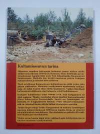 Satakunnan kulkurista kullankaivajiksi : Kangasniemen erään sukuhaaran tarina 1850-luvulta 1980-luvun lopulle