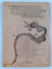 The dragon : nature of spirit, spirit of nature