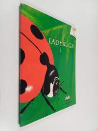 Ladybugs : Teacher&#039;s Guide : Preschool 1
