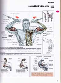 Lihaskuntoharjoittelu ja venyttely - Toiminnallinen anatomia, 2015.