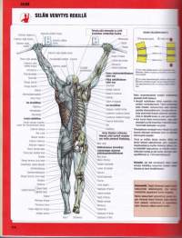 Lihaskuntoharjoittelu ja venyttely - Toiminnallinen anatomia, 2015.
