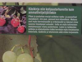 Pihan ja puutarhan marjat