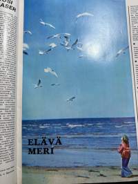 Neuvostoliitto 1979  nr 2, Ihminen ja työyhteisö