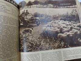 Elokuva-Aitta vuosikerta 1954, täydellinen 24 numeroa