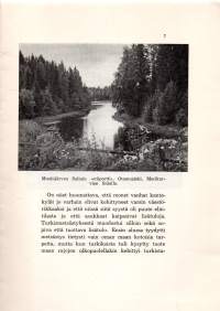 Eränkävijäin jäljillä Karkusta Merikarvialle