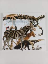 Museum für naturkunde - The exhibitions
