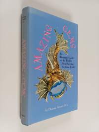 Amazing Gems - An Illustrated Guide to the World&#039;s Most Dazzling Costume Jewelry