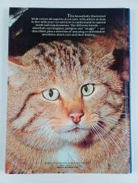 Beautiful cats