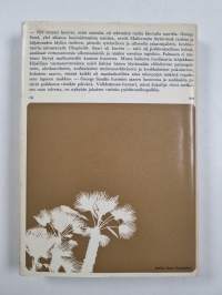 Talvi Mallorcassa