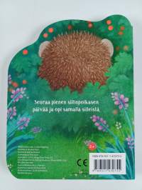 Pikku siili