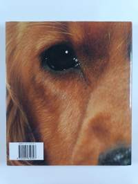 Illustrated Dogwatching