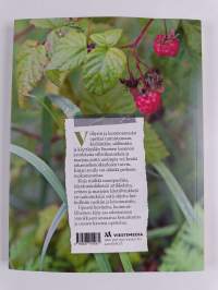 Villiyrtit ja luonnonmarjat