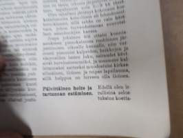 Pienokaistemme hoito